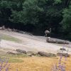 k-20180626_113128.jpg