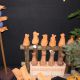 k-IMG_4846.JPG