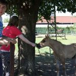 k-IMG_5974.JPG